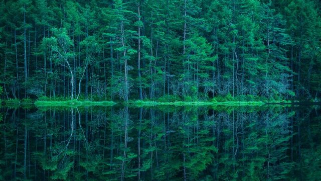 森林と湖　御射鹿池